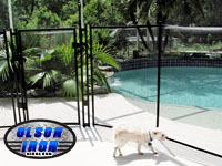 Iron gates, Iron gates Las Vegas, Security gates, Security screens, Security doors, Courtyard gates, Iron fence, Metal gates, Side yard gates, Rv gates, Double gates, Single gates, Driveway gates, Electric gates, Wrought iron gates, Iron works, Stair railing, Iron railings